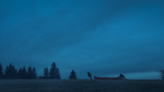 Как заработать на убийстве