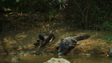 Остров хищника