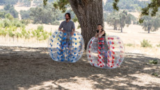 Как женить холостяка