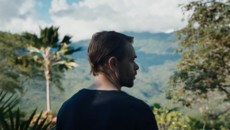 Криминальный шеф