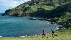 Письма о любви