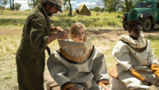 Багровая отмель