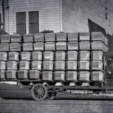 Вирус, унёсший 50 миллионов жизней