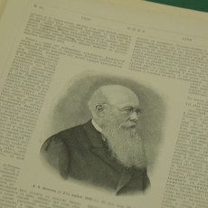 Бычковы. Два портрета