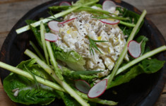 Салат с копченой сметаной, пенне, эстрагоном и спаржей