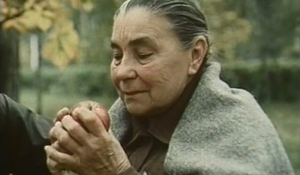 Деревья на асфальте